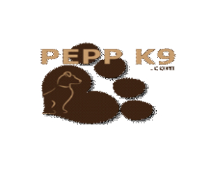 Pepp K9 - 9U